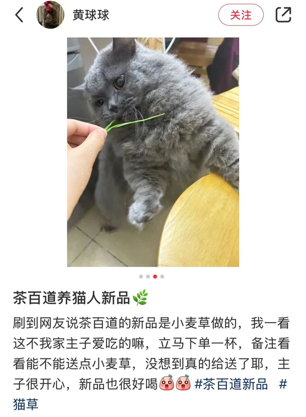 7茶百道的猫草汁卖爆了.jpg